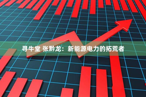 寻牛堂 张黔龙：新能源电力的拓荒者