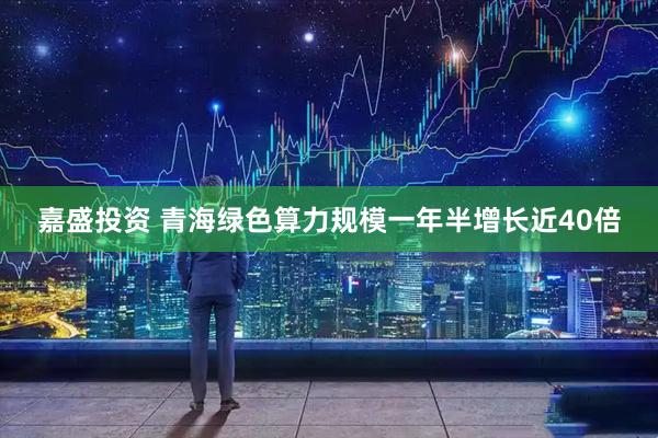 嘉盛投资 青海绿色算力规模一年半增长近40倍
