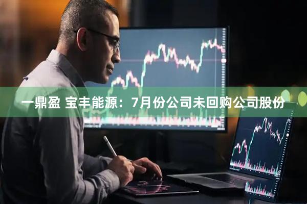 一鼎盈 宝丰能源：7月份公司未回购公司股份