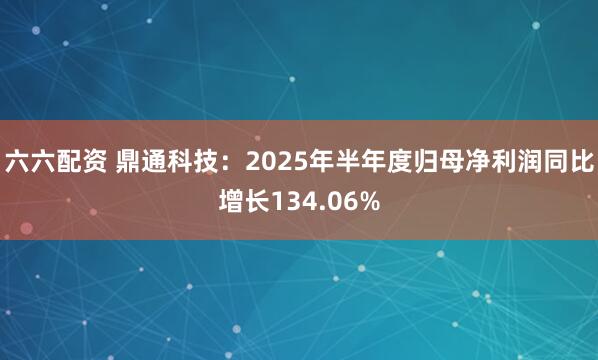 六六配资 鼎通科技：2025年半年度归母净利润同比增长134.06%