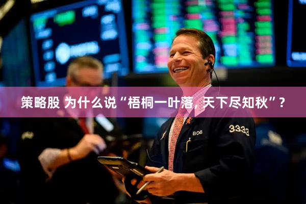 策略股 为什么说“梧桐一叶落, 天下尽知秋”?