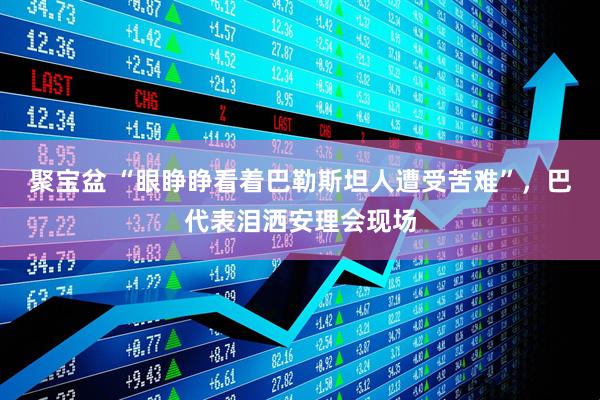 聚宝盆 “眼睁睁看着巴勒斯坦人遭受苦难”，巴代表泪洒安理会现场